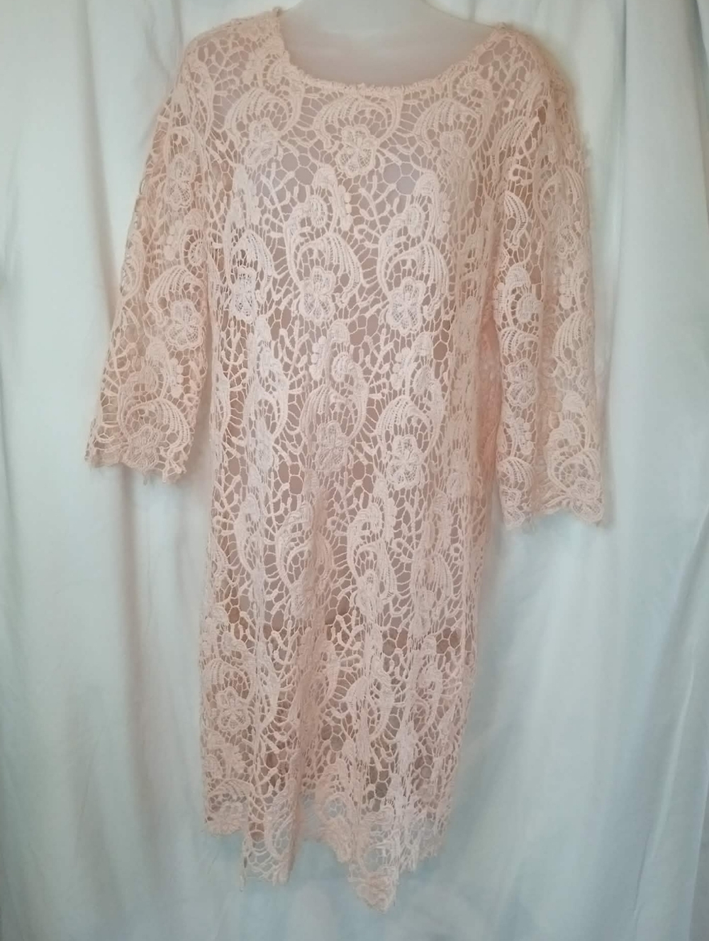 Cato Plus Pink Peach Pastel Lace Long-Sleeve Shift Dress See Thru Office Party